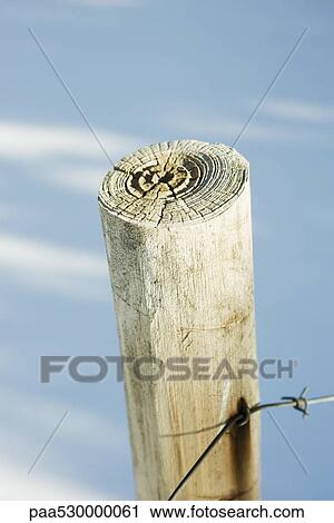 Stock Image - Wooden post with barbed wire, snow in background, close-up. Fotosearch