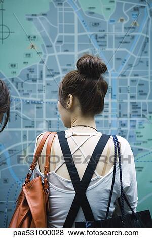 Female looking at large map on wall, rear view View Large Photo Image Stock Photo - Female looking at large map on wall, rear view. Fotosearch