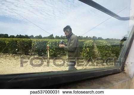 Stock Image - France, Champagne-Ardenne, Aube, man walking in vineyard, holding camera, viewed through window. Fotosearch
