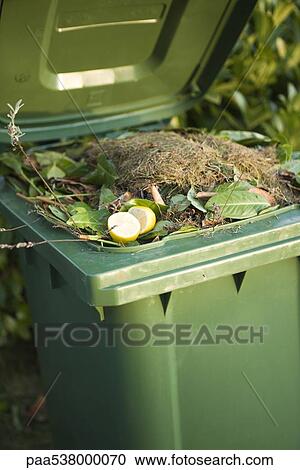 Compost in garbage can View Large Photo Image Stock Image - Compost in garbage can. Fotosearch