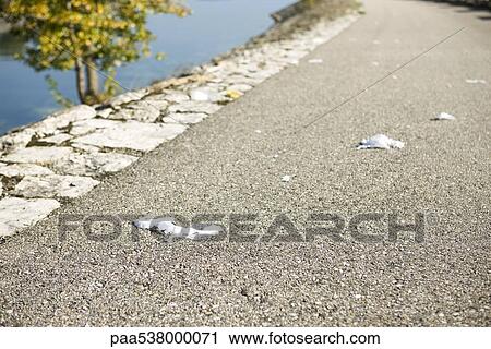Stock Image - Garbage scattered along road, close-up. Fotosearch