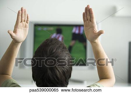 Stock Photography - Male watching sports match on television, hands raised in air, rear view. Fotosearch