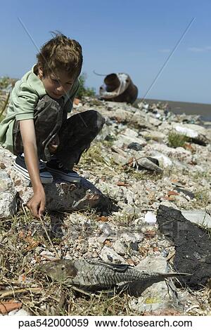 Boy crouching on polluted shore, poking dead fish with stick View Large Photo Image Stock Photo - Boy crouching on polluted shore, poking dead fish with stick. Fotosearch