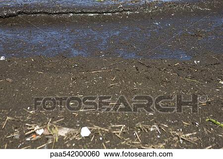 Muddy, polluted shore, close-up View Large Photo Image Stock Image - Muddy, polluted shore, close-up. Fotosearch