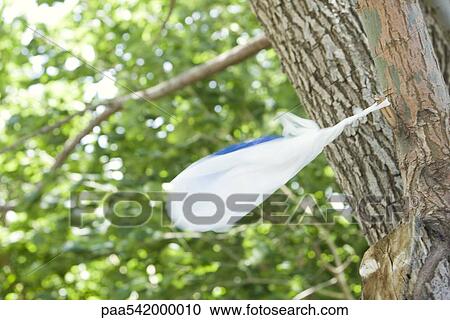Stock Image - Plastic bag caught on tree. Fotosearch