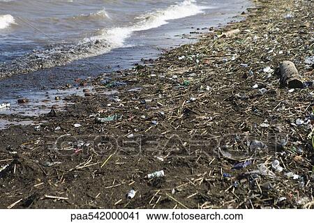 Shore littered with trash and debris View Large Photo Image Stock Image - Shore littered with trash and debris. Fotosearch
