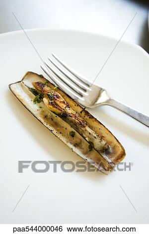Solitary steamed razor clam on plate with fork View Large Photo Image Stock Photograph - Solitary steamed razor clam on plate with fork. Fotosearch