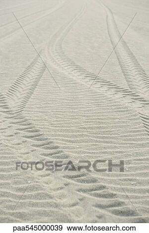 Tire tracks on sand View Large Photo Image Stock Photo - Tire tracks on sand. Fotosearch