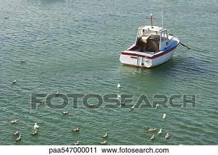 Stock Image - "Flock of gulls resting in sea, small boat anchored nearby". Fotosearch