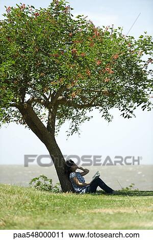 "Young woman sitting under tree, reading book" View Large Photo Image Stock Image - "Young woman sitting under tree, reading book". Fotosearch
