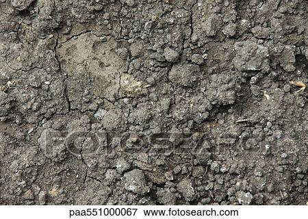 "Soil mixed with gravel, rubble" View Large Photo Image Stock Photo - "Soil mixed with gravel, rubble". Fotosearch