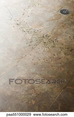 "Tiled floor, drain" View Large Photo Image Stock Photo - "Tiled floor, drain". Fotosearch