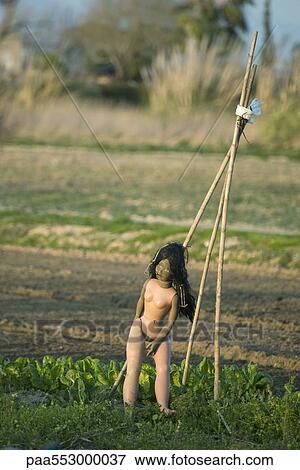 Doll set against trellis in vegetable garden View Large Photo Image Stock Photo - Doll set against trellis in vegetable garden. Fotosearch