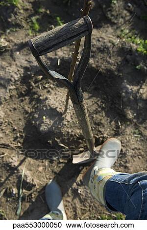 Farmer's booted foot on shovel View Large Photo Image Stock Image - Farmer's booted foot on shovel. Fotosearch