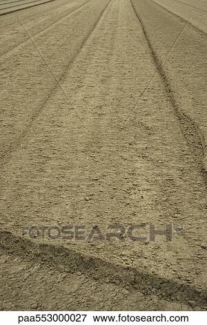 Plowed field View Large Photo Image Stock Photo - Plowed field. Fotosearch
