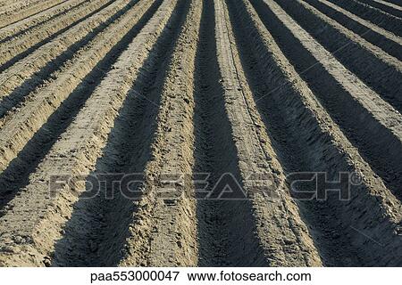 Plowed field View Large Photo Image Stock Photo - Plowed field. Fotosearch