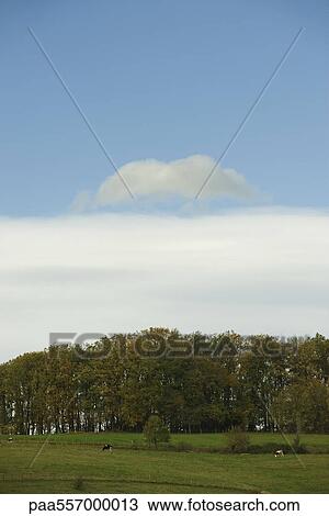 Stock Image - Blue sky over rural pasture. Fotosearch