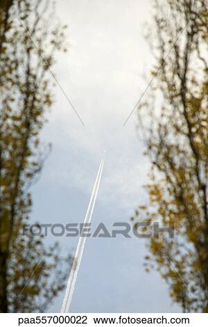 Vapor trail in sky, trees in foreground View Large Photo Image Stock Image - Vapor trail in sky, trees in foreground. Fotosearch