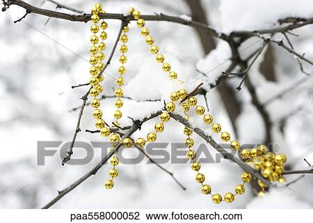 Beaded garland draped on snow-covered branches of bare tree View Large Photo Image Stock Image - Beaded garland draped on snow-covered branches of bare tree. Fotosearch