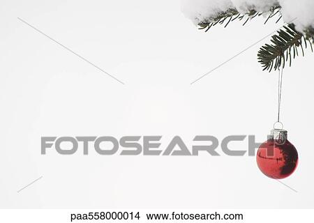 Christmas ornament hanging from snow-covered branch View Large Photo Image Picture - Christmas ornament hanging from snow-covered branch. Fotosearch