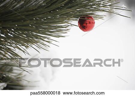 Stock Photo - Christmas ornament hanging from snow frosted branch. Fotosearch