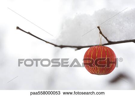 Christmas ornament hanging from snow-covered branch View Large Photo Image Stock Image - Christmas ornament hanging from snow-covered branch. Fotosearch