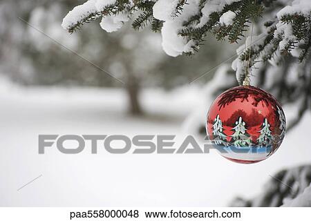 Stock Photo - Christmas ornament hanging from snow-covered evergreen branch. Fotosearch