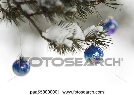 Stock Image - Christmas ornaments hanging from tree branch dusted with snow. Fotosearch
