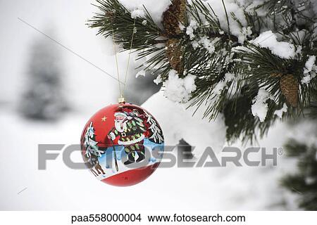 Colorful Christmas ornament hanging from snow-covered branch View Large Photo Image Picture - Colorful Christmas ornament hanging from snow-covered branch. Fotosearch