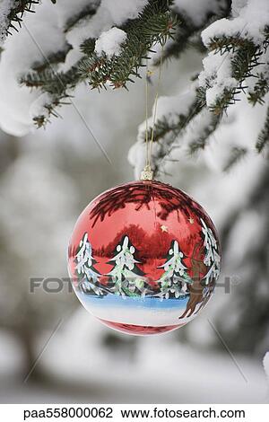 Colorful Christmas ornament hanging from snow-covered branch View Large Photo Image Stock Image - Colorful Christmas ornament hanging from snow-covered branch. Fotosearch