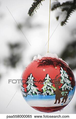 Colorful Christmas ornament hanging from snow frosted branch View Large Photo Image Stock Photography - Colorful Christmas ornament hanging from snow frosted branch. Fotosearch