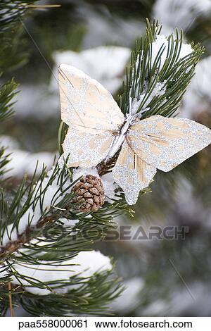 Stock Image - Golden decorative butterfly on snow dusted evergreen branch. Fotosearch