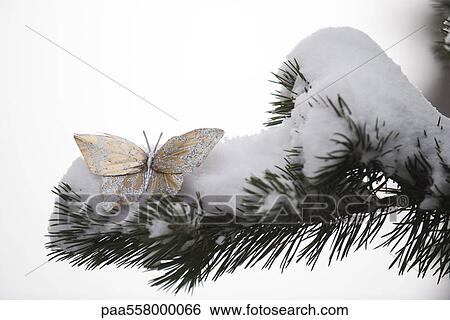 Stock Photograph - Golden decorative butterfly on snow-covered branch. Fotosearch
