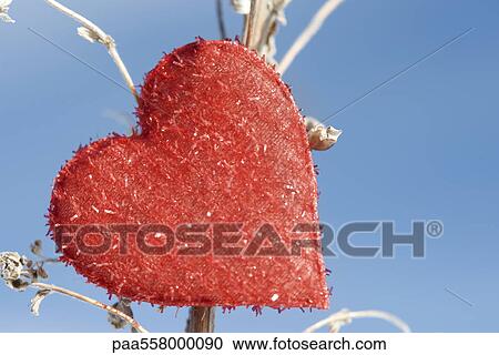 Stock Image - Heart shaped ornament on dried plant stalk. Fotosearch