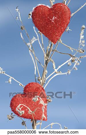 Stock Photograph - Heart shaped ornaments on dried plant stalk. Fotosearch