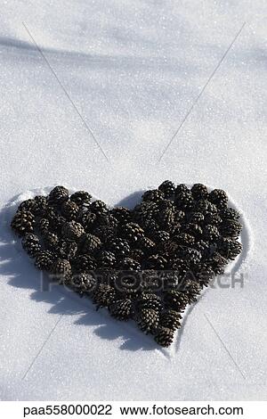 Stock Image - Pine cones arranged in shape of heart on snow. Fotosearch