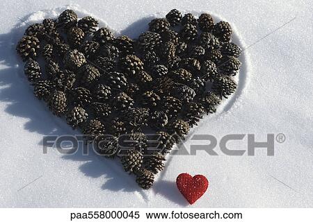 Pine cones arranged in shape of heart placed beside smaller red heart ornament View Large Photo Image Stock Photography - Pine cones arranged in shape of heart placed beside smaller red heart ornament. Fotosearch