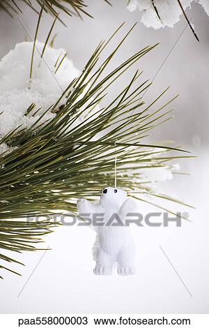 Stock Image - Polar bear ornament hanging from snow-covered branch. Fotosearch
