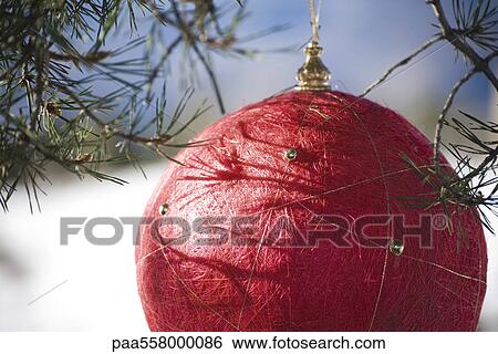 Red Christmas ornament hanging from evergreen branch, cropped View Large Photo Image Stock Photograph - Red Christmas ornament hanging from evergreen branch, cropped. Fotosearch