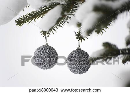 Silver Christmas ornaments hanging from snow-covered evergreen branches View Large Photo Image Stock Image - Silver Christmas ornaments hanging from snow-covered evergreen branches. Fotosearch