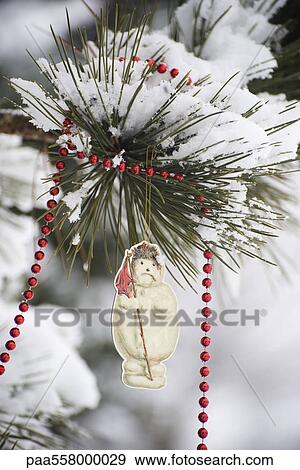 Snowman Christmas ornament and beaded garland hanging from snow-covered tree branch View Large Photo Image Stock Photo - Snowman Christmas ornament and beaded garland hanging from snow-covered tree branch. Fotosearch