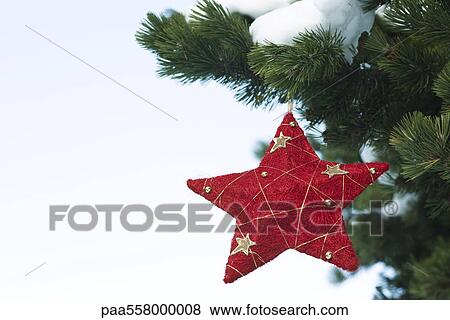 Stock Photo - Star Christmas ornament hanging from snow-covered branch. Fotosearch