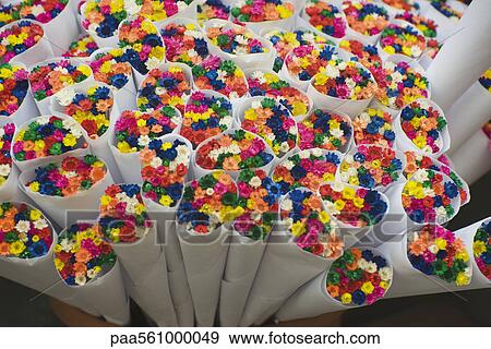 Bouquets of brightly colored dyed flowers View Large Photo Image Stock Photo - Bouquets of brightly colored dyed flowers. Fotosearch