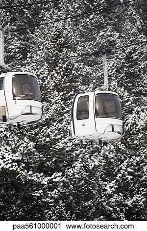 Stock Image - Overhead cable cars moving past snow-covered trees. Fotosearch