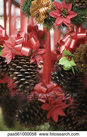 Pine cone and poinsettia Christmas decorations View Large Photo Image Stock Photo - Pine cone and poinsettia Christmas decorations. Fotosearch