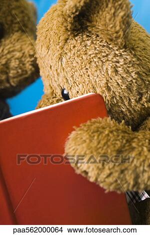 Teddy bear reading book, close-up View Large Photo Image Picture - Teddy bear reading book, close-up. Fotosearch