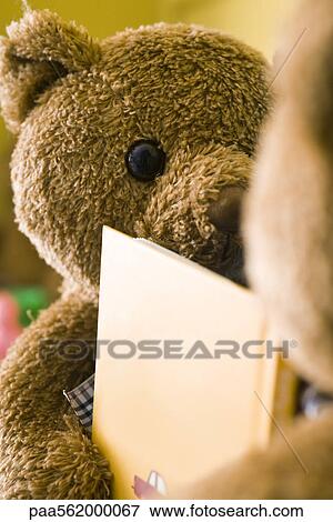 Teddy bears placed face to face with book between them, cropped View Large Photo Image Stock Photo - Teddy bears placed face to face with book between them, cropped. Fotosearch