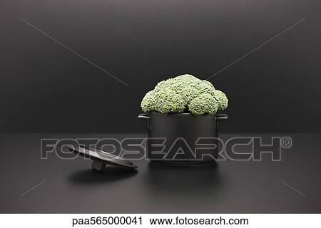 Food concept, fresh broccoli in miniature pot View Large Photo Image Stock Image - Food concept, fresh broccoli in miniature pot. Fotosearch