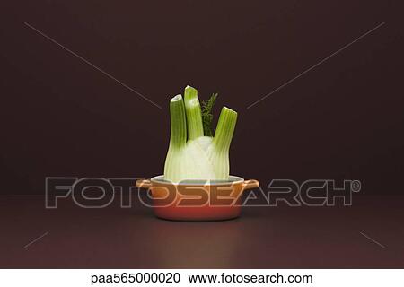 Food concept, fresh fennel in small pot View Large Photo Image Stock Image - Food concept, fresh fennel in small pot. Fotosearch