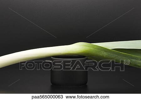 Food concept, leek on top of miniature pot View Large Photo Image Stock Image - Food concept, leek on top of miniature pot. Fotosearch